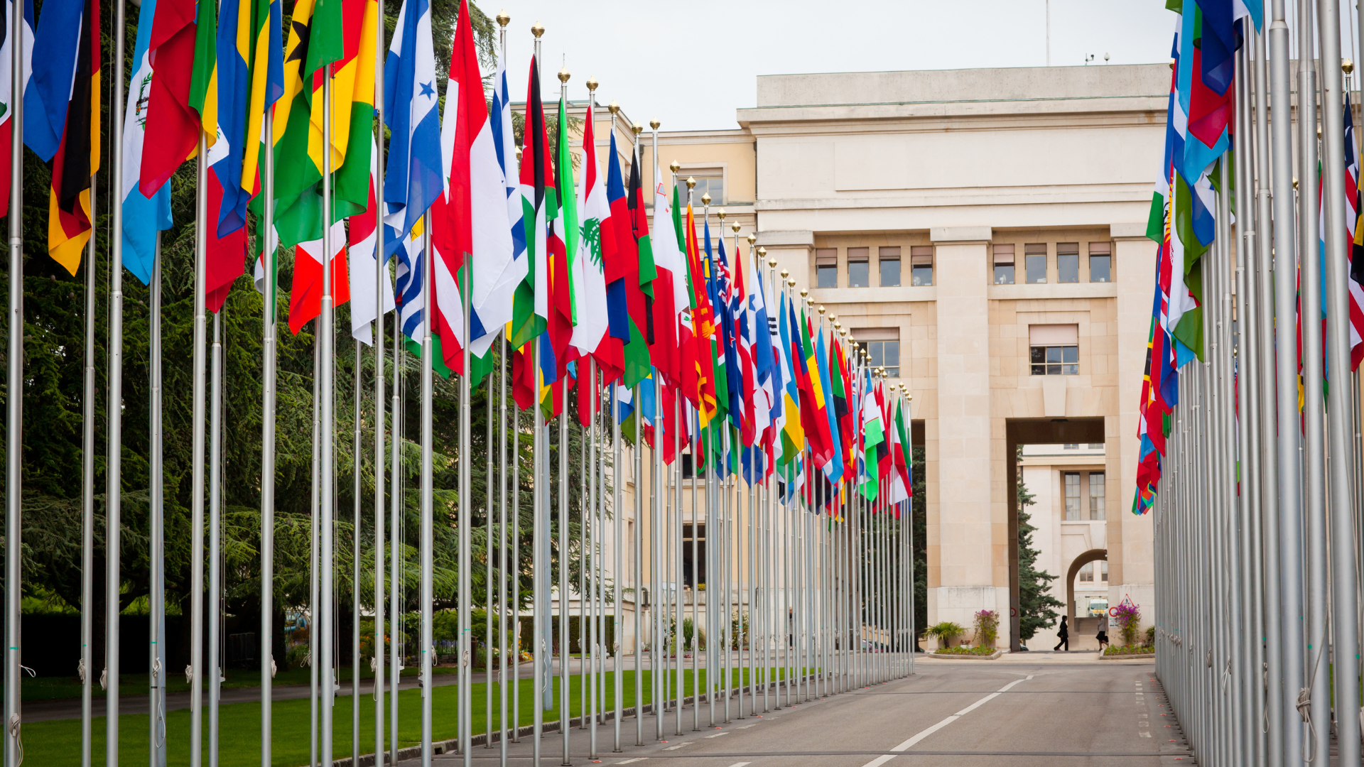 International Management and Business diplomacy IMBD01